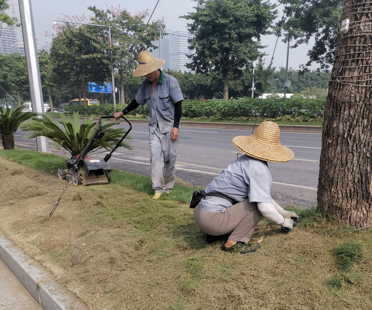 園林綠化養護